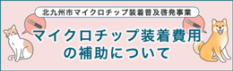 マイクロチップ補助について