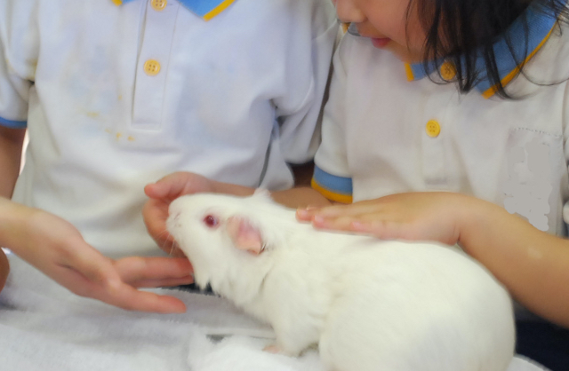 学校飼育動物支援