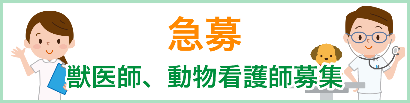 急募　獣医師、動物看護師募集